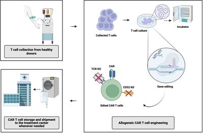 “Off-The-Shelf” allogeneic chimeric antigen receptor T-cell therapy for B-cell malignancies: current clinical evidence and challenges